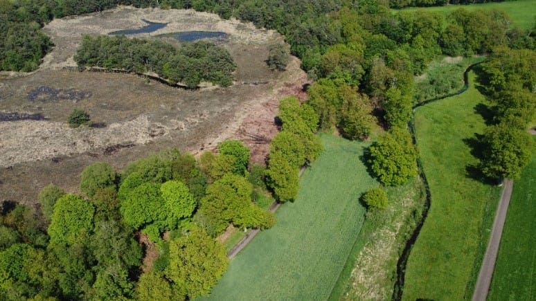 Heide verbinden op landgoed Twickel: ‘Nu is de natuur aan zet’